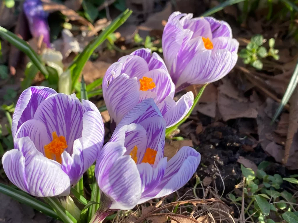 liz pullan pattathy szNLad5fU8Q unsplash - Hypopara