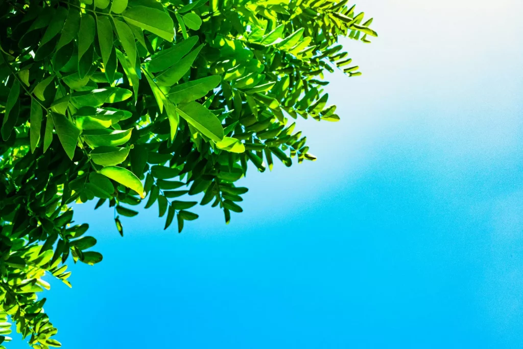 mehmet uzut Zy ItbL7QXE unsplash - Hypopara